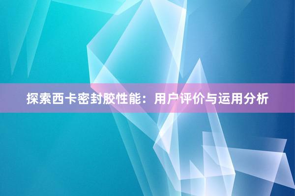 探索西卡密封胶性能：用户评价与运用分析